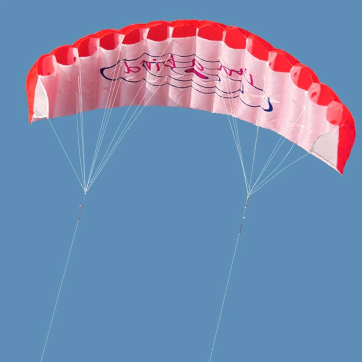GZYF Dual Line Traction Kite Surfing Trainer Kite Parafoil Parachute