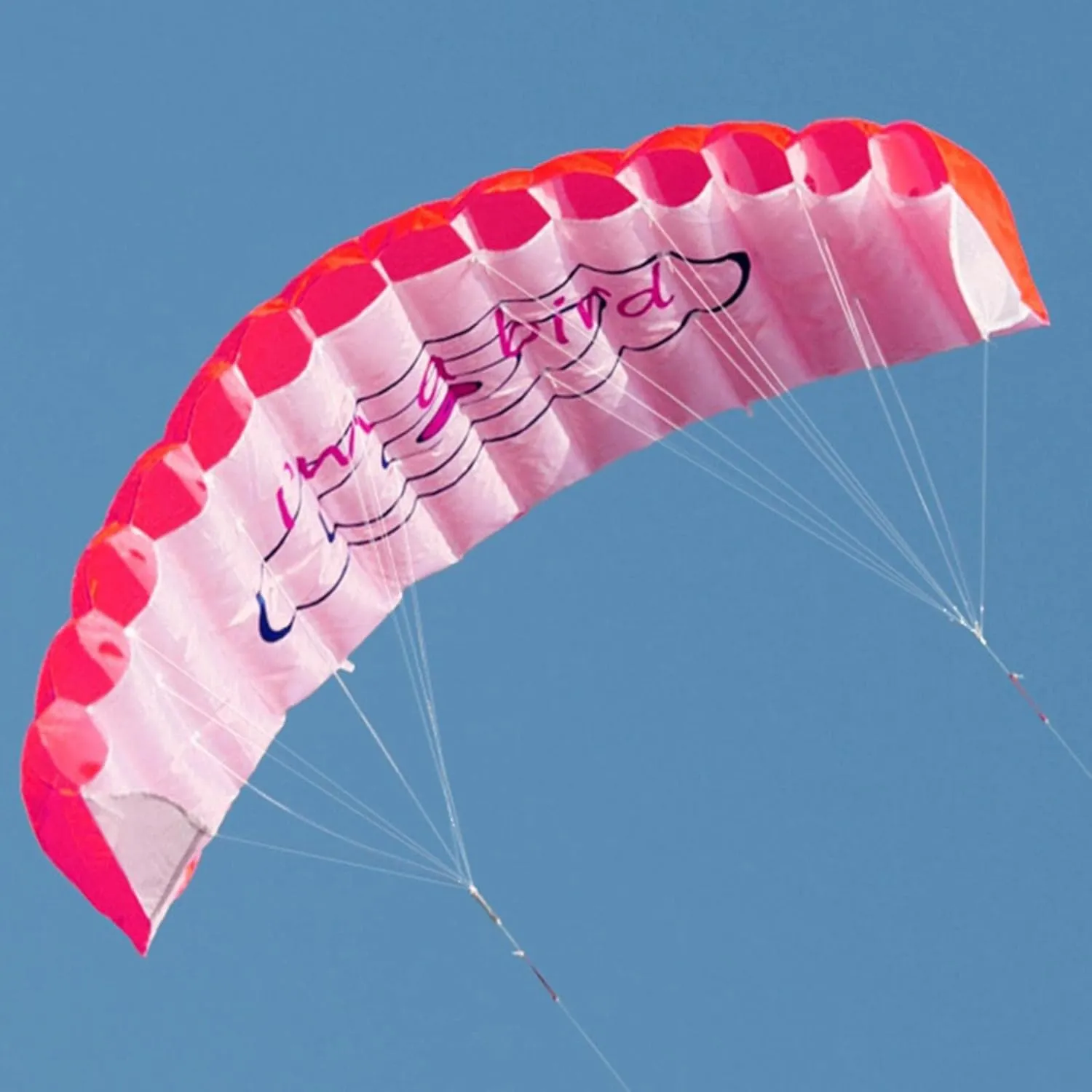 GZYF Dual Line Traction Kite Surfing Trainer Kite Parafoil Parachute