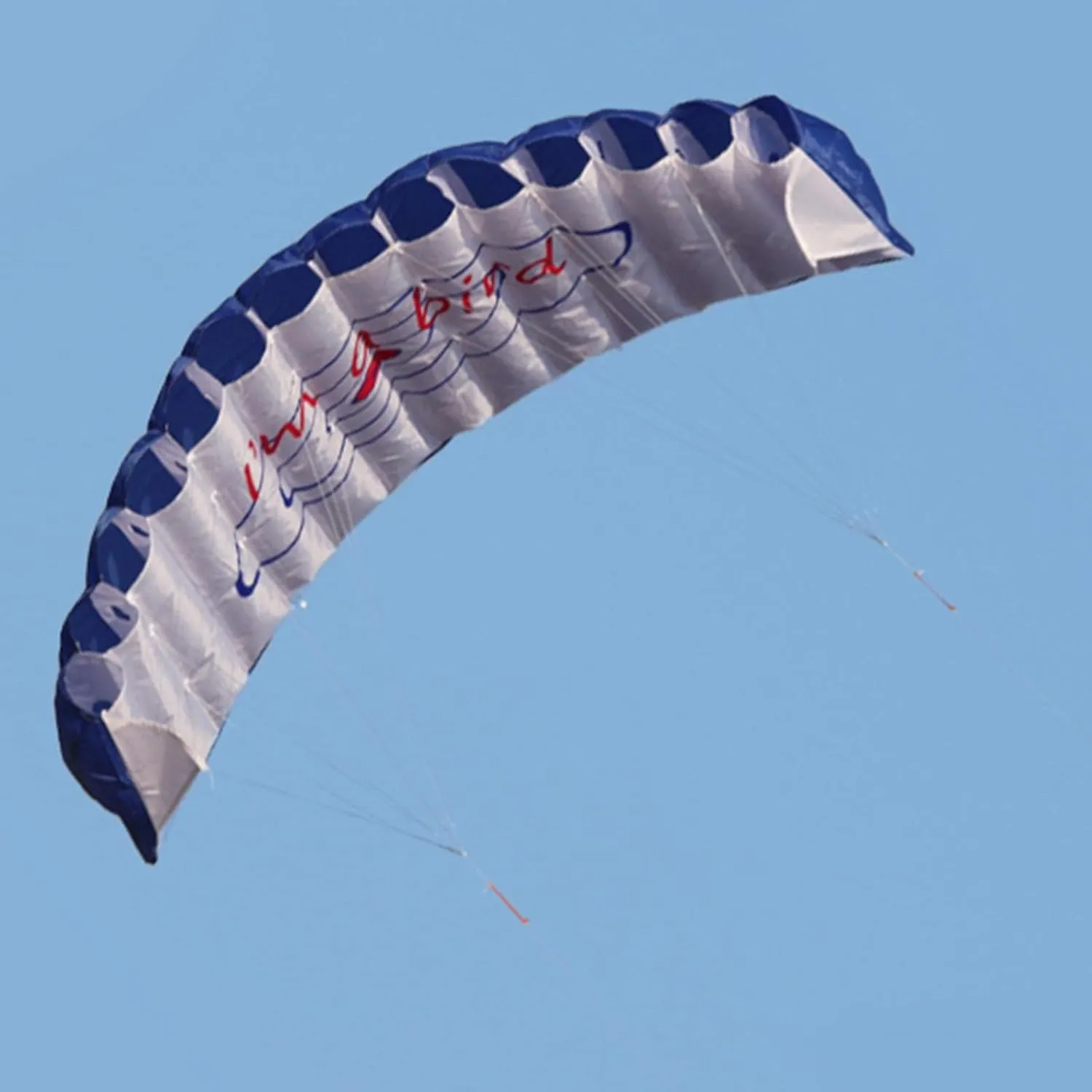 GZYF Dual Line Traction Kite Surfing Trainer Kite Parafoil Parachute