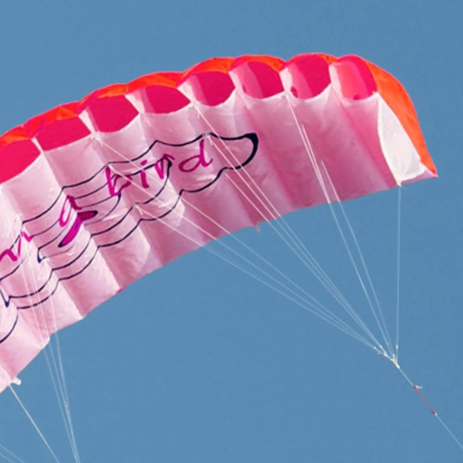GZYF Dual Line Traction Kite Surfing Trainer Kite Parafoil Parachute