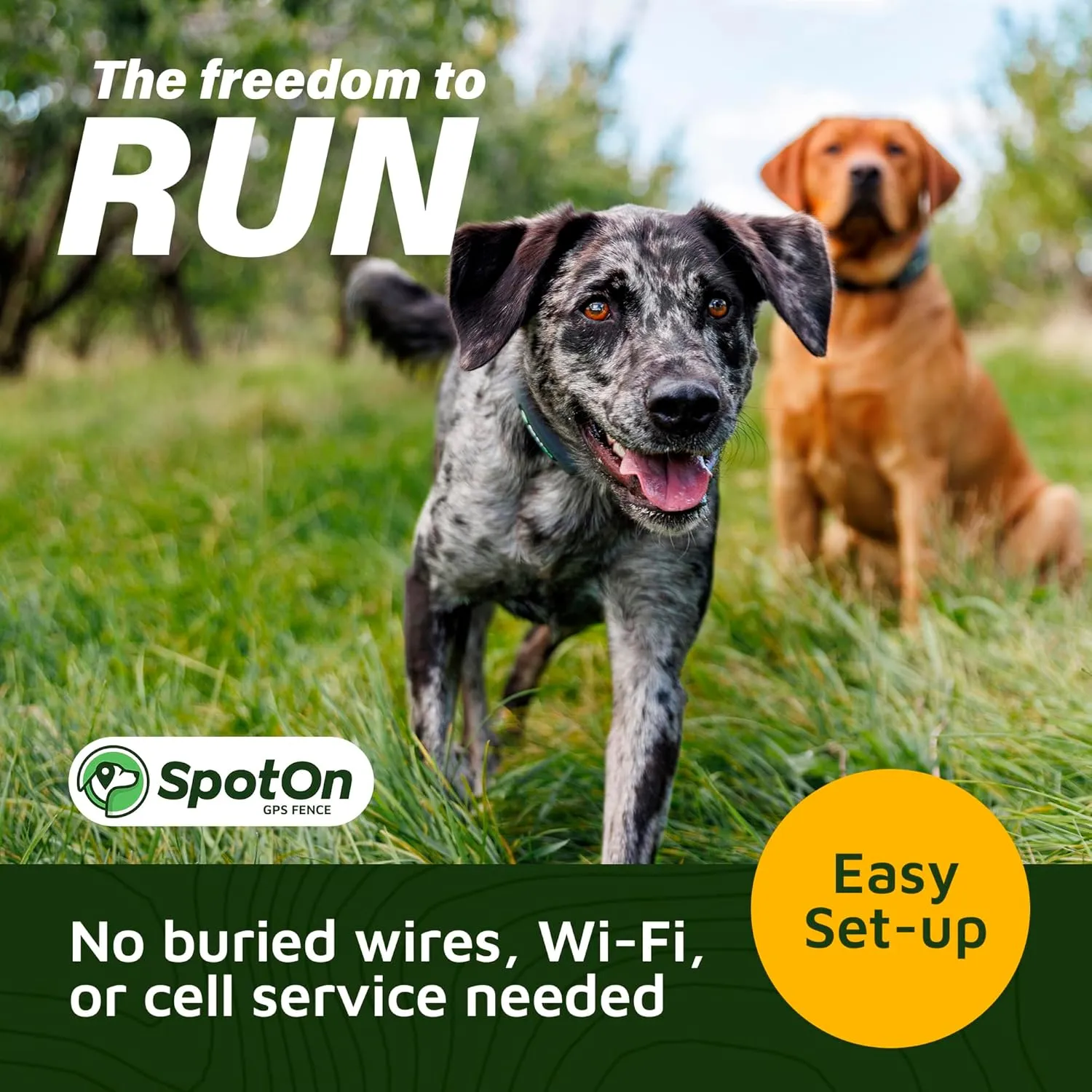 SpotOn GPS Wireless Dog Fence Collar, Accurate & Reliable, Unlimited Fences, 40  Hours Battery Life, No Subscription, Built in USA, Omni Collar Model, Large Dog Breed Neck Size 19"-26"