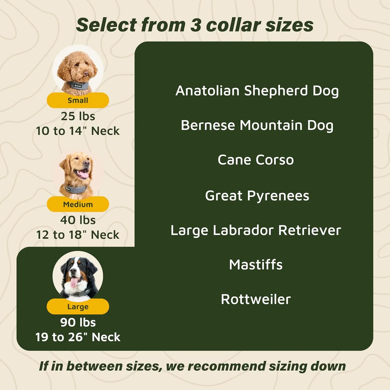 SpotOn GPS Wireless Dog Fence Collar, Accurate & Reliable, Unlimited Fences, 40  Hours Battery Life, No Subscription, Built in USA, Omni Collar Model, Large Dog Breed Neck Size 19"-26"